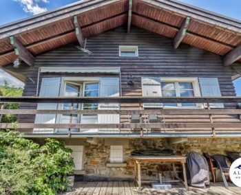 chalet-grande-ourse-location-vacances-alpine-02