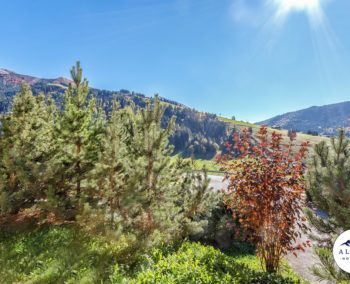 eden-alpes-location-vacances-alpine